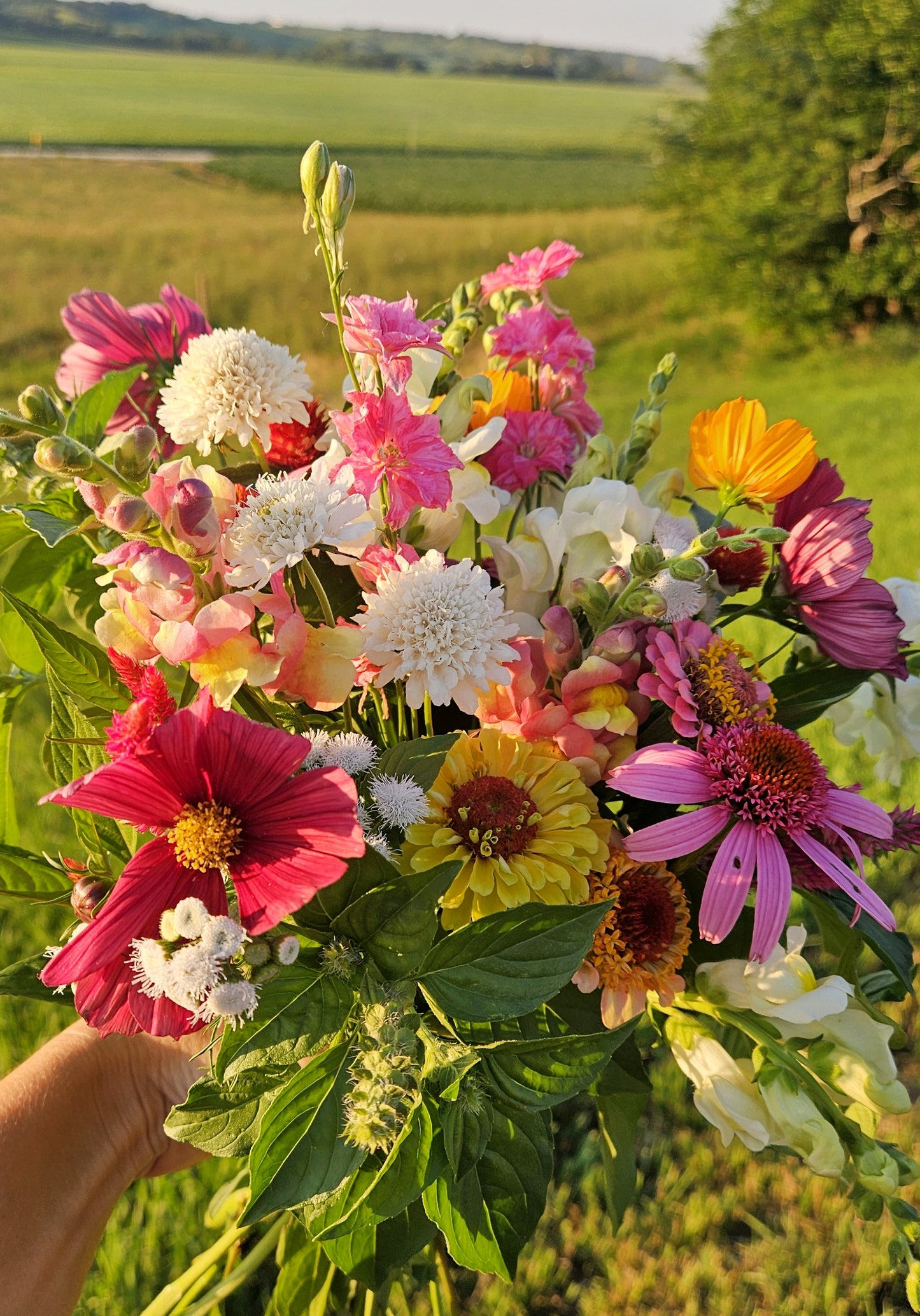 Fresh Flower Bouquet